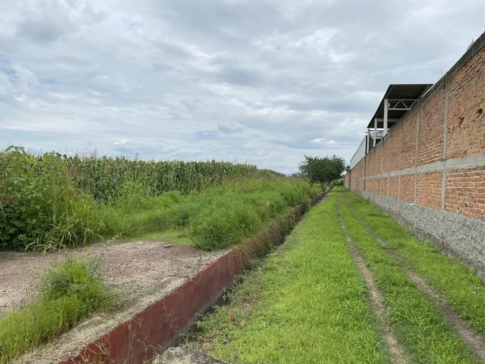 Foto 6 de Terreno en Venta Col. El Zapote, Tlajomulco de Zúñiga, 3er Paso a Dominio Pleno