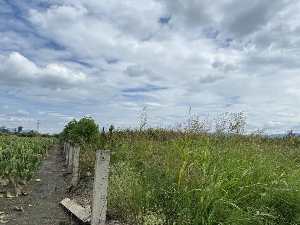 Foto 8 de Terreno en Venta Col. El Zapote, Tlajomulco de Zúñiga, 3er Paso a Dominio Pleno