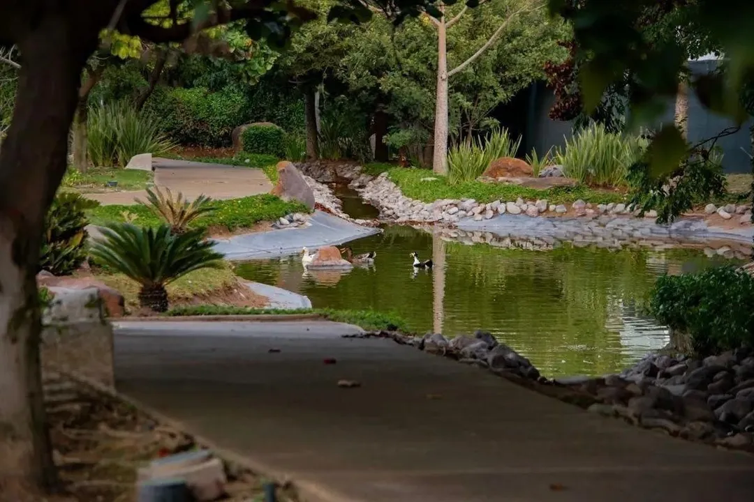 Foto 4 de Terreno en Bosques de las Lomas, Zona Diamante