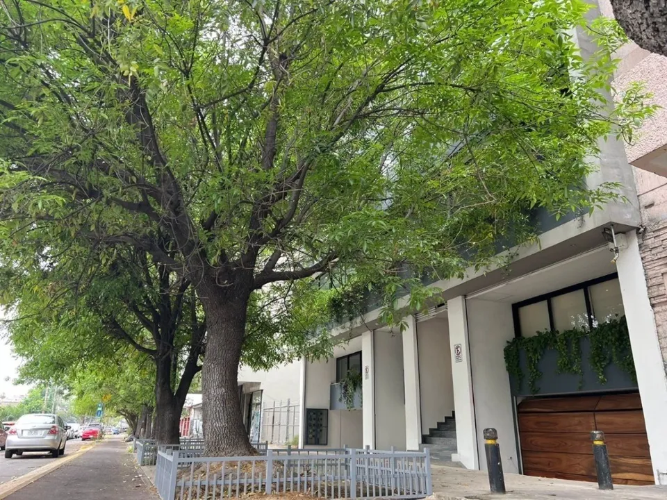 OFICINAS EN RENTA EN CALZADA FEDERALISMO SUR