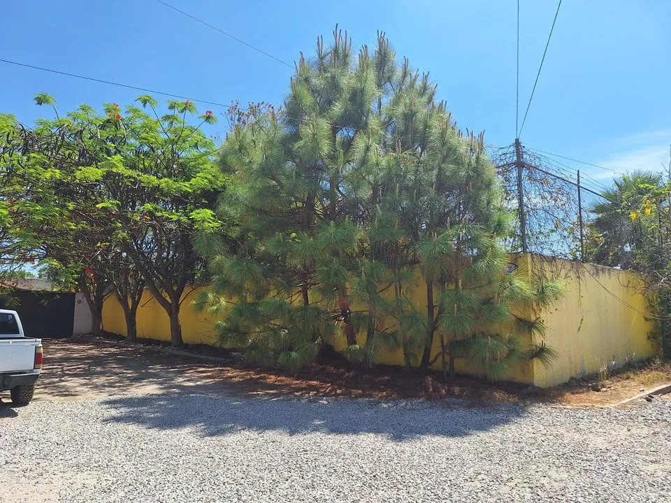 Foto 6 de Terreno en Venta en La Tijera