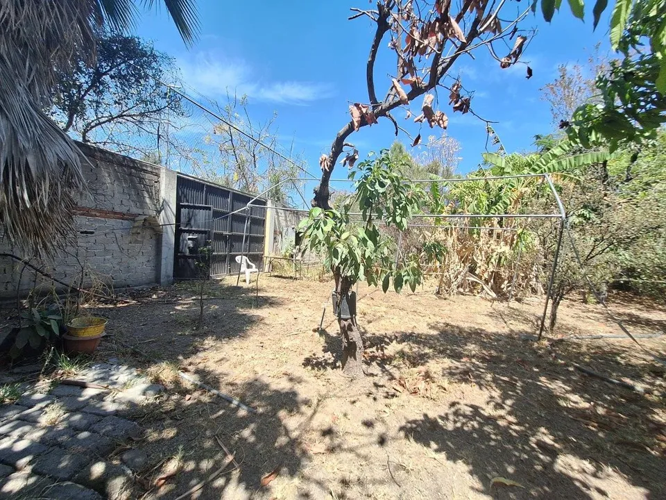 Foto 8 de Terreno en Venta en La Tijera