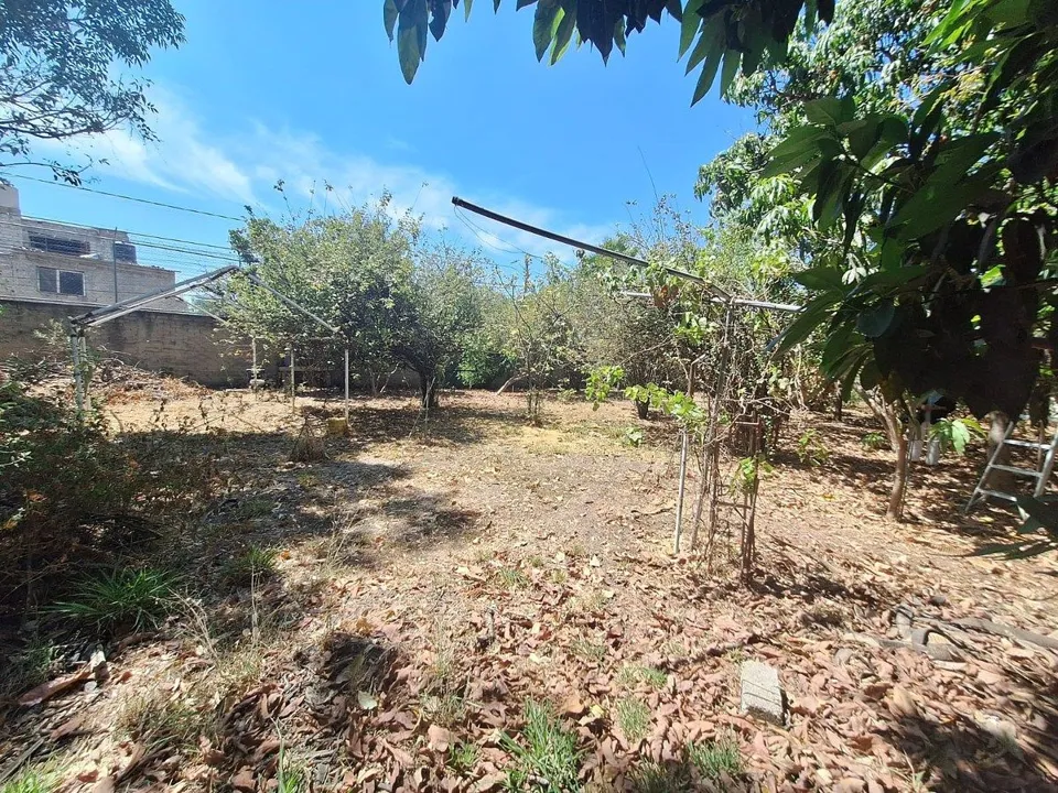 Foto 9 de Terreno en Venta en La Tijera