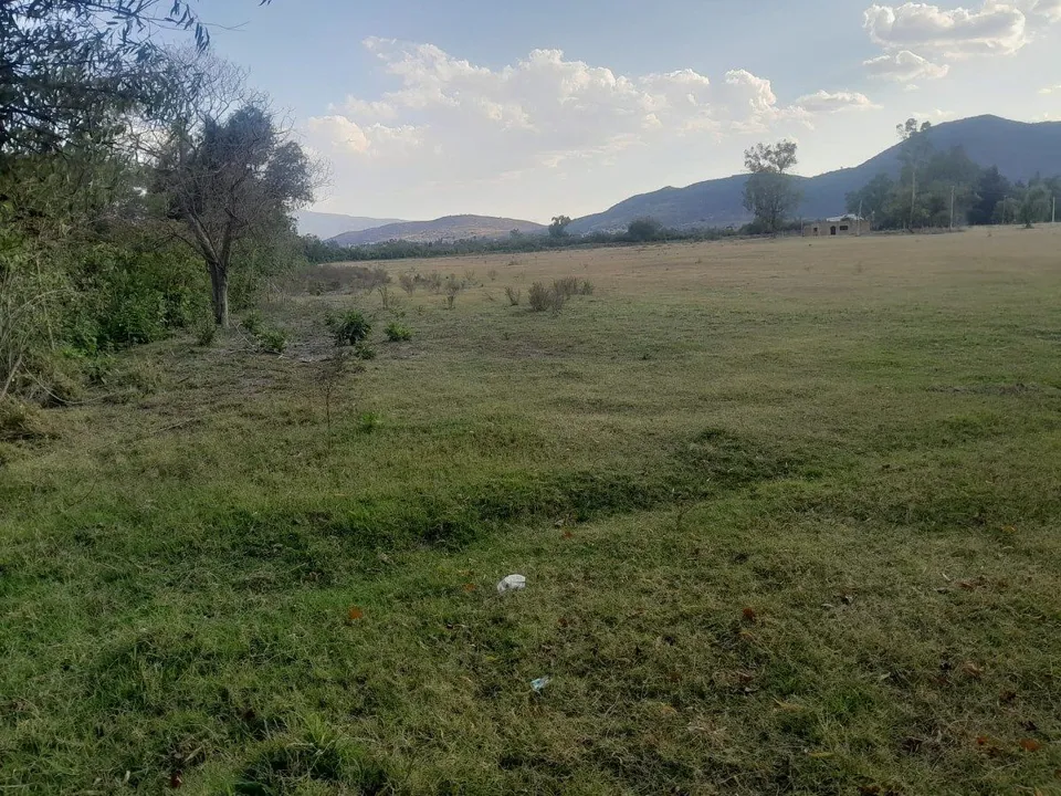 TERRENO EJIDAL IDEAL PARA DESARROLLADORES EN VILLALTA EN TLAJOMULCO