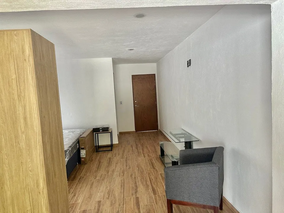Foto 9 de RENTA DE LOFT AMUEBLADOS EN ALTAMIRA