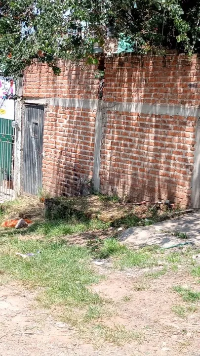 Terreno en venta en MAOTSETUNG , SAN MIGUEL, LA PUNTA, TONALA