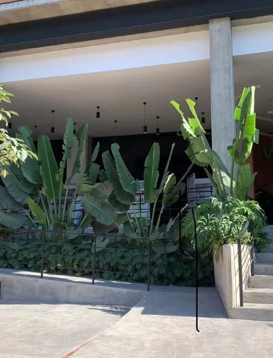 Foto 4 de Local en Venta en la Americana , Guadalajara Jalisco.