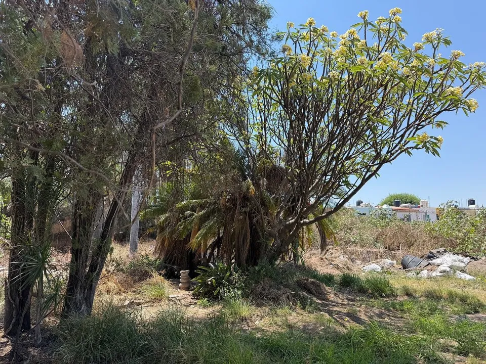 Foto 4 de Terreno en venta en La Tijera