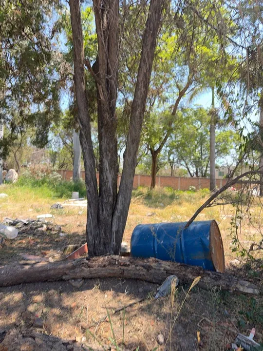 Foto 5 de Terreno en venta en La Tijera