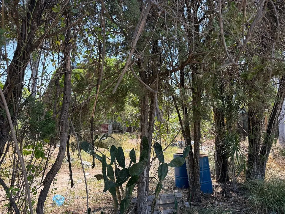 Foto 6 de Terreno en venta en La Tijera