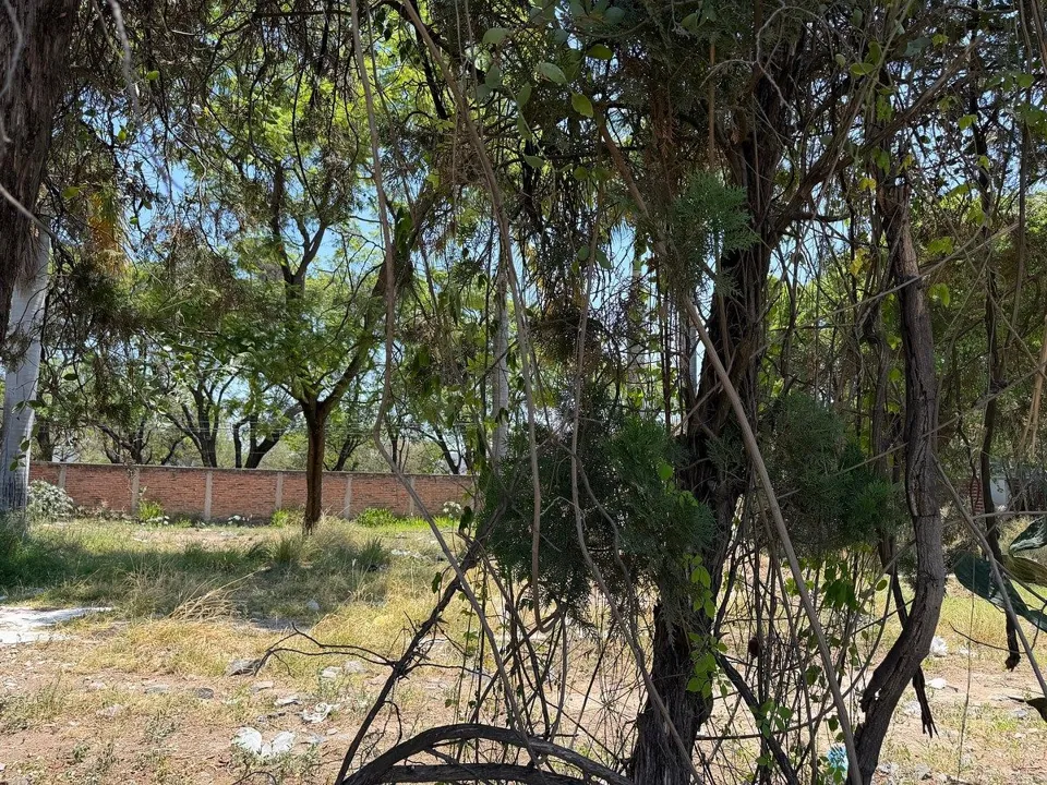 Foto 7 de Terreno en venta en La Tijera