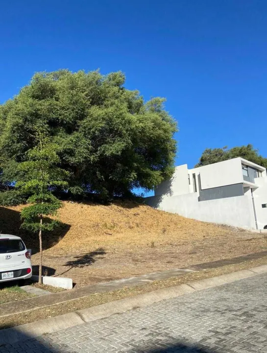 Foto 4 de Terreno a la venta en La Arbolada Bosques de Santa Anita