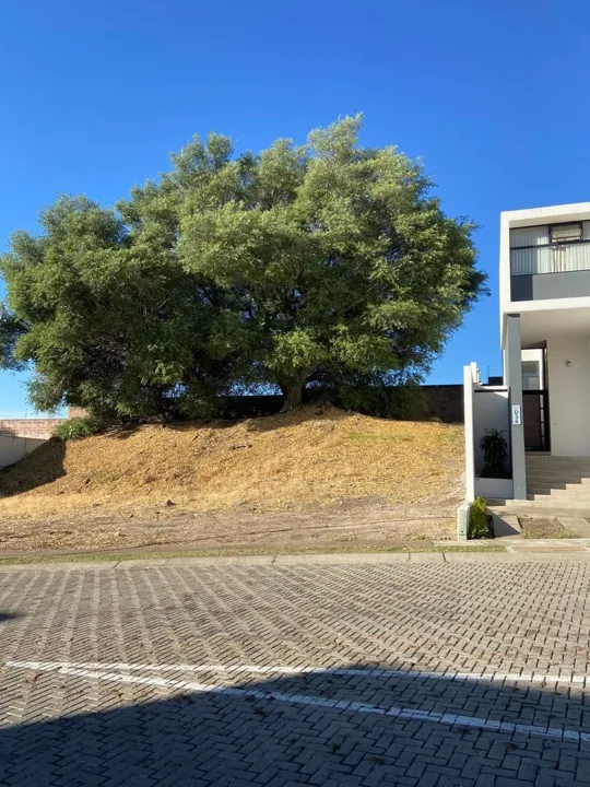Foto 5 de Terreno a la venta en La Arbolada Bosques de Santa Anita
