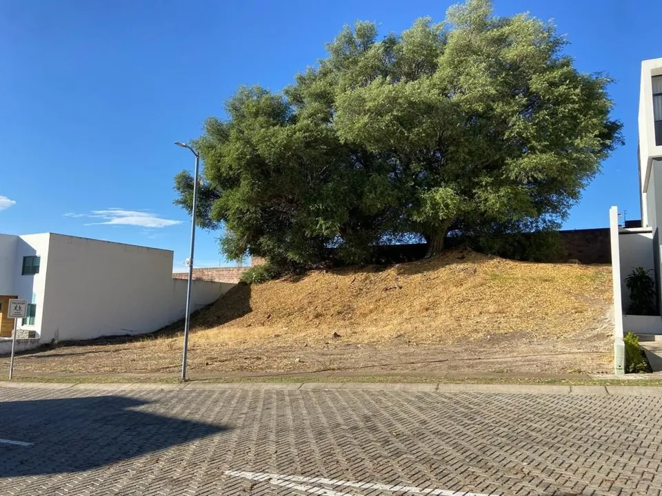 Foto 6 de Terreno a la venta en La Arbolada Bosques de Santa Anita
