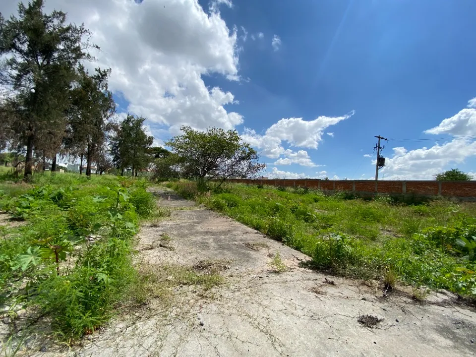 Foto 3 de Terreno en venta en Morelos, Los Gavilanes, Tlajomulco de Zuñiga