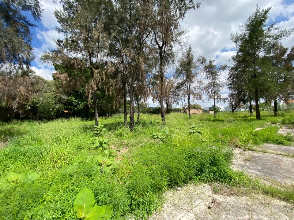 Foto 5 de Terreno en venta en Morelos, Los Gavilanes, Tlajomulco de Zuñiga