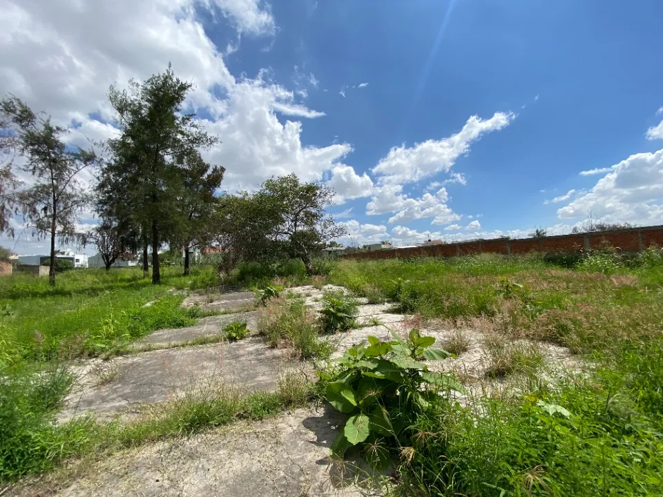 Foto 6 de Terreno en venta en Morelos, Los Gavilanes, Tlajomulco de Zuñiga