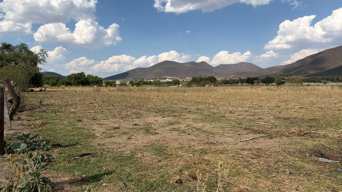 Foto 3 de 1.13 hectáreas para inversión o desarrollo en Santa Cruz de las Flores