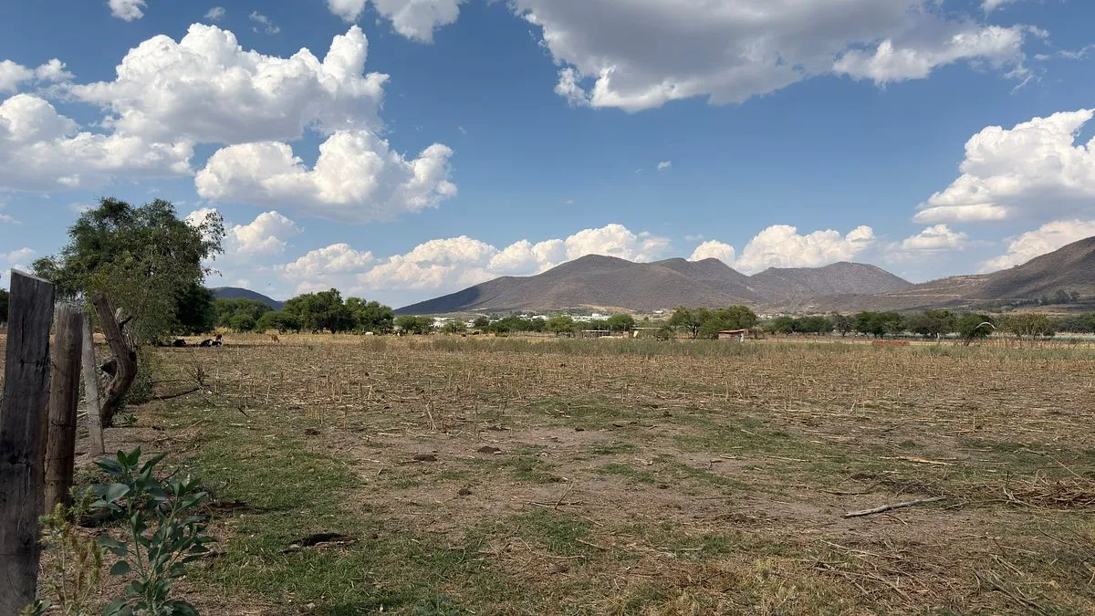 Foto 6 de 1.13 hectáreas para inversión o desarrollo en Santa Cruz de las Flores