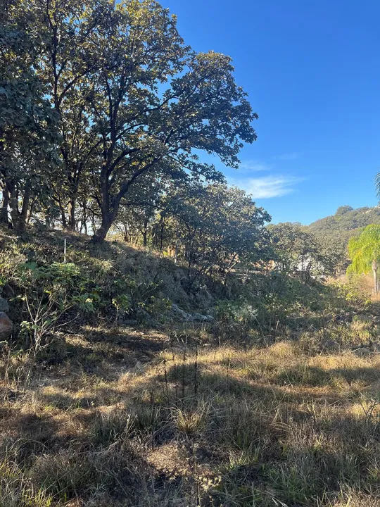 Terreno en Venta en Milpillas, Tesistan