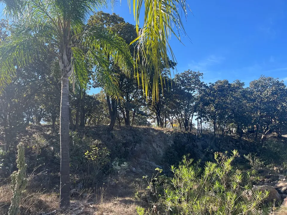 Foto 2 de Terreno en Venta en Milpillas, Tesistan