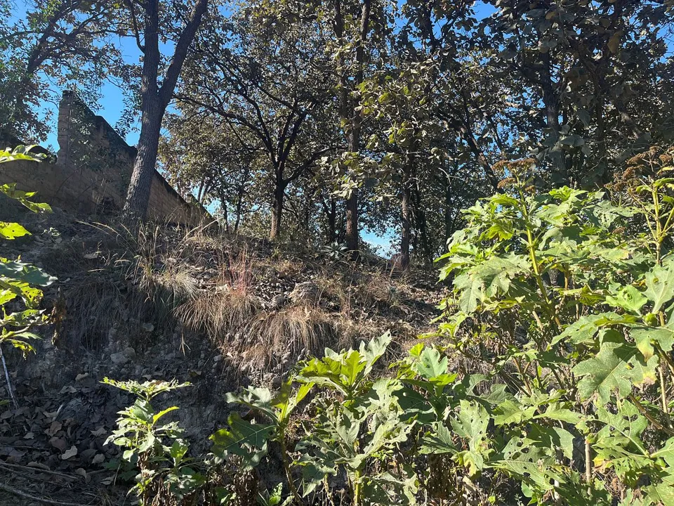 Foto 3 de Terreno en Venta en Milpillas, Tesistan