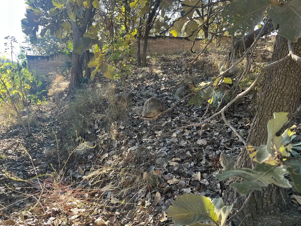 Foto 6 de Terreno en Venta en Milpillas, Tesistan