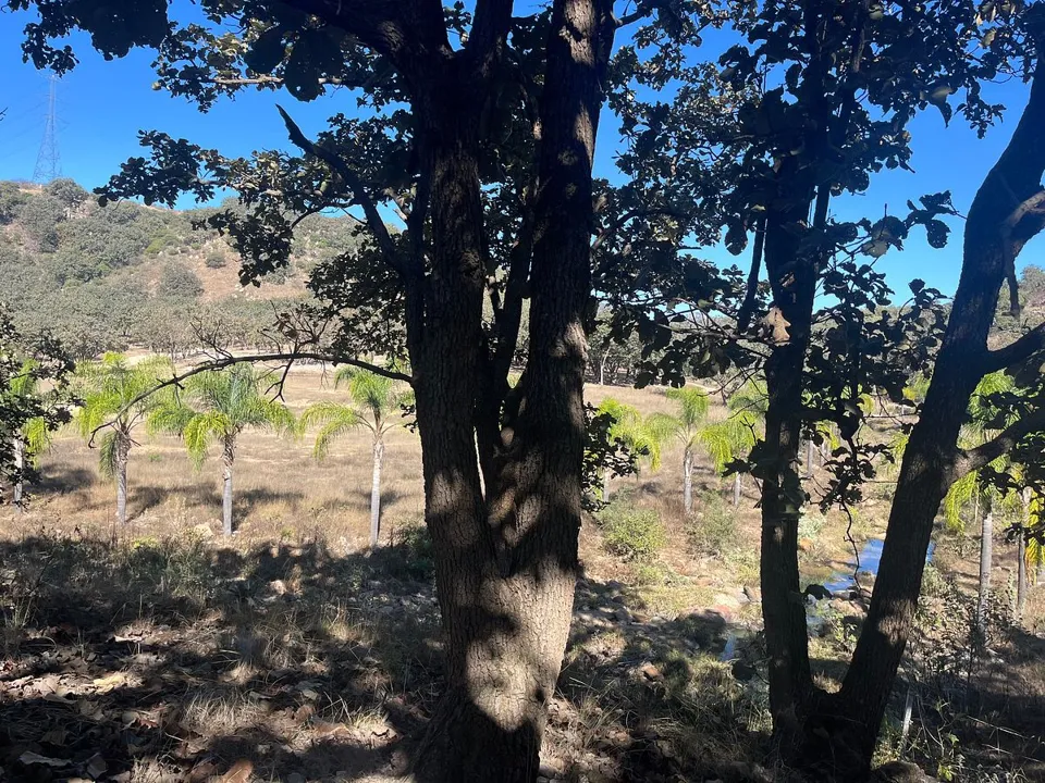 Foto 8 de Terreno en Venta en Milpillas, Tesistan