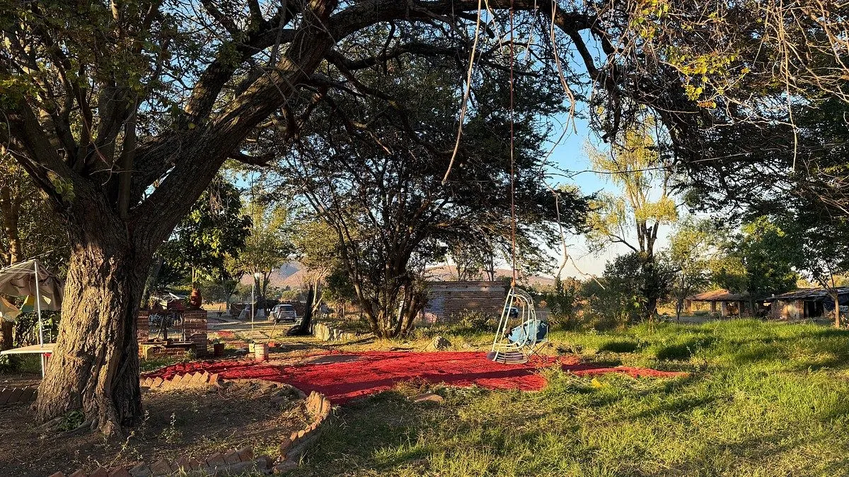 Foto 4 de TERRENO  EN CAMINO A LA CAÑADA, TLAJOMULCO