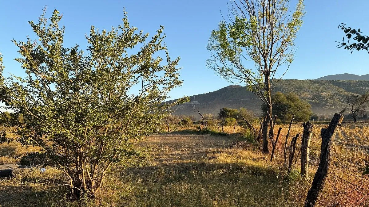 Foto 5 de TERRENO  EN CAMINO A LA CAÑADA, TLAJOMULCO