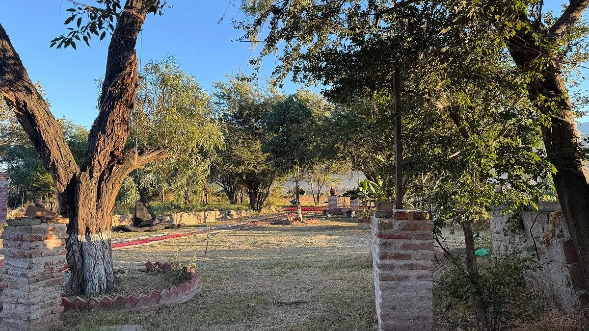 Foto 6 de TERRENO  EN CAMINO A LA CAÑADA, TLAJOMULCO