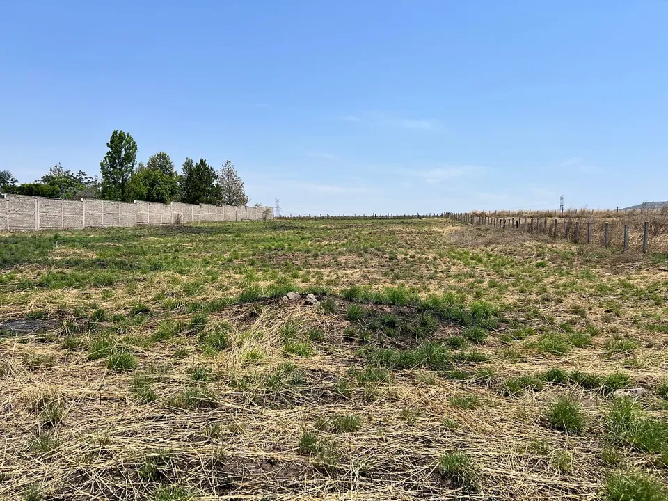 Foto 7 de VENTA TERRENO CAMPESTRE EN COLINAS DEL MARTEL, ZAPOPAN.