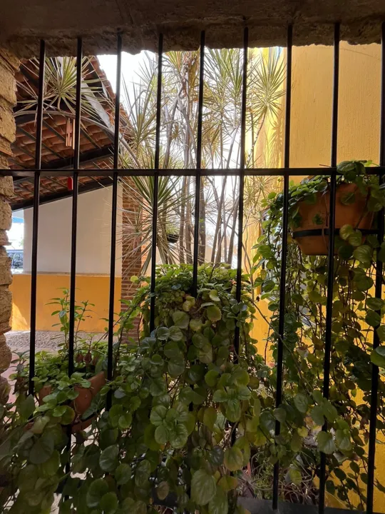 Foto 5 de CASA EN VENTA SANTA AGUSTÍN 19 TLAJOMULCO DE ZUÑIGA
