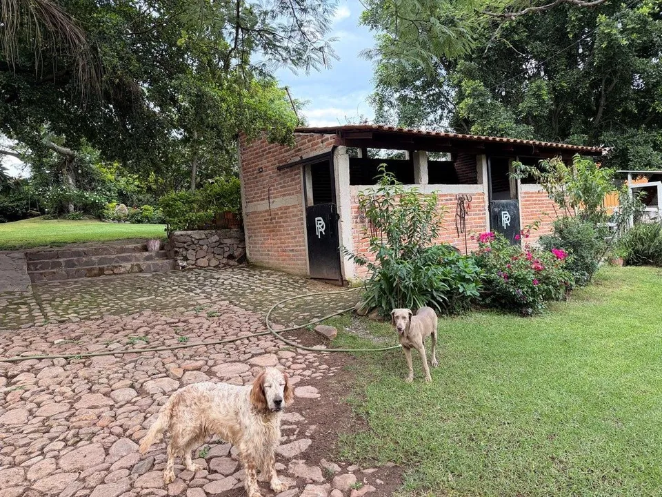 Foto 8 de RANCHO EN VENTA EN TLAJOMULCO