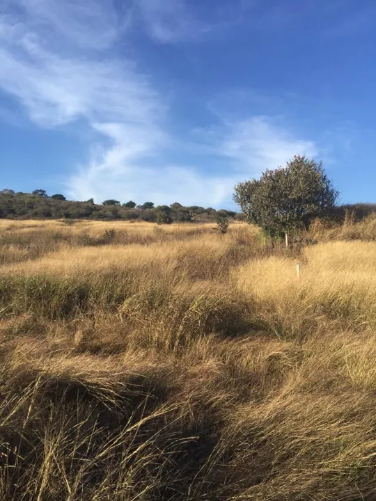 Foto 2 de Terreno en venta en Puente Grande, Jalisco