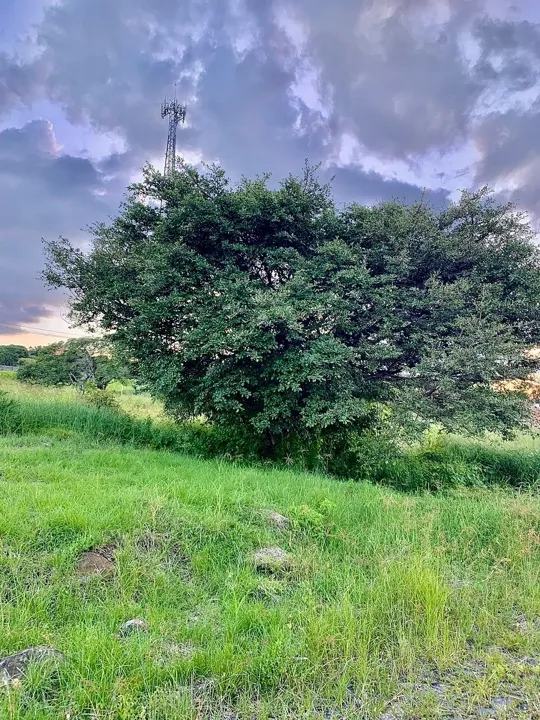 Foto 4 de TERRENO EN VENTA EN FRACC. PUERTA DEL SOL, TONALA, JAL.