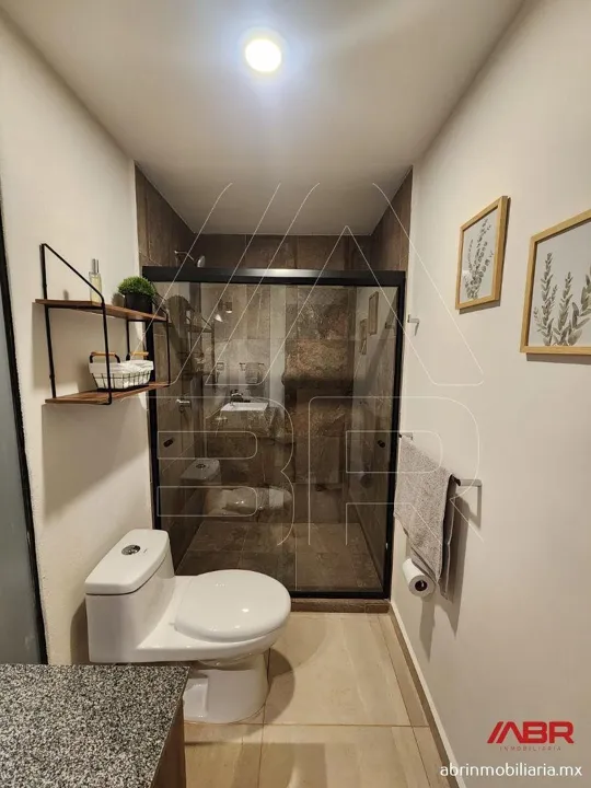 Foto 8 de DEPARTAMENTO EN VENTA O RENTA AV. NACIONES UNIDAS
