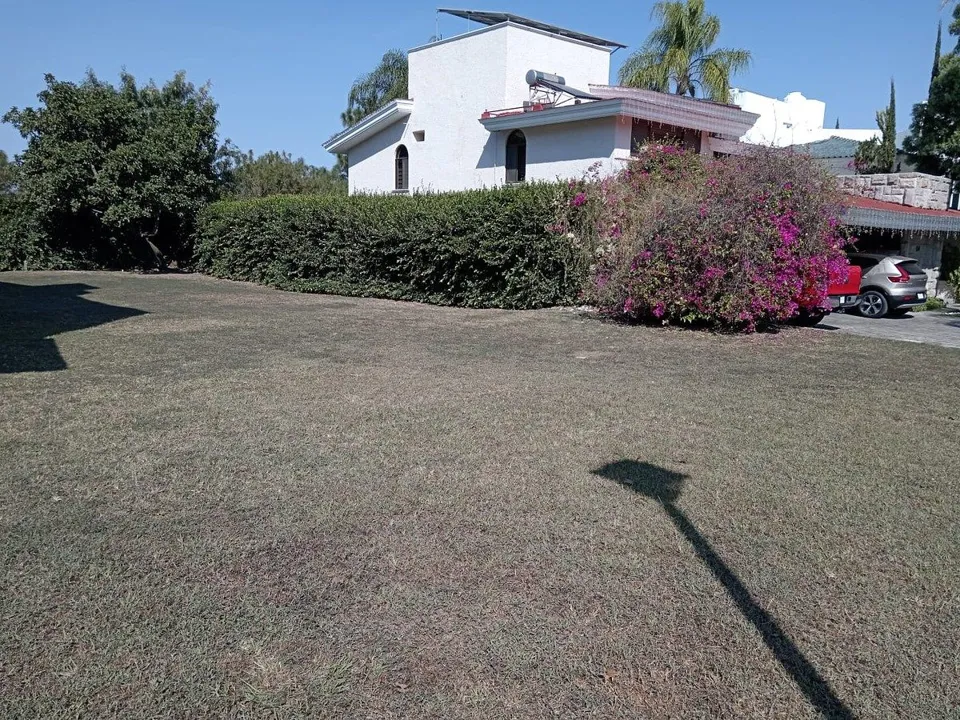 Foto 6 de Terreno en Venta en Lomas del Bosque