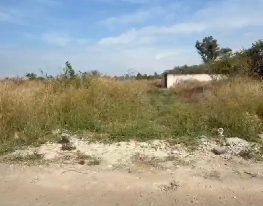 Terreno ejidal con uso de suelo mixto