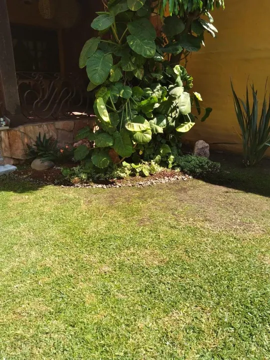 Foto 5 de Casa en Venta en San Martín de las Flores, Tlaquepaque