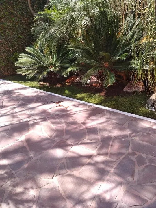 Foto 6 de Casa en Venta en San Martín de las Flores, Tlaquepaque