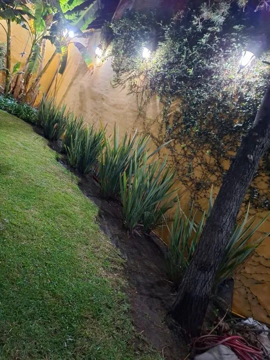Foto 7 de Casa en Venta en San Martín de las Flores, Tlaquepaque