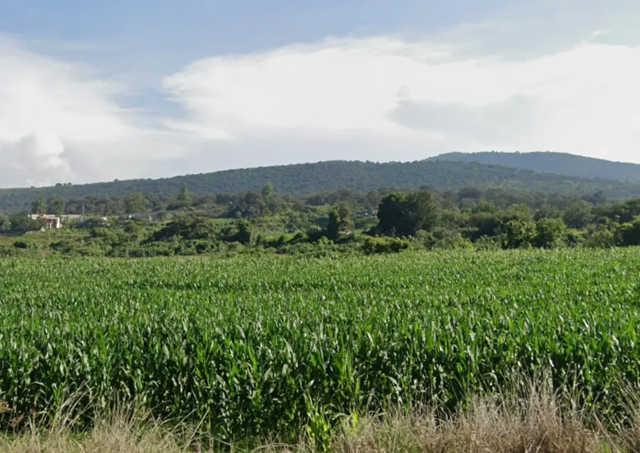 Terreno en venta en Cam. A San Isidro, El Paraiso , Zapopan