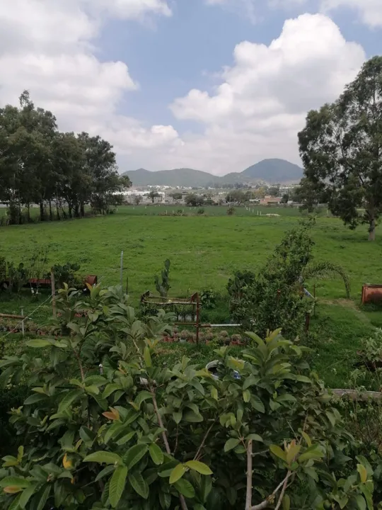Foto 8 de Terreno Amplio para Desarrollo en Col Lomas del Sur