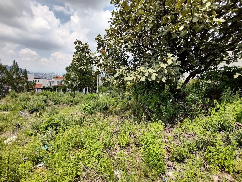 Foto 4 de Terreno en VENTA - Bugambilias 2da Sección - libre de gravamen