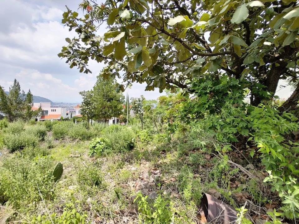Foto 5 de Terreno en VENTA - Bugambilias 2da Sección - libre de gravamen
