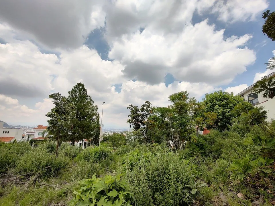 Foto 7 de Terreno en VENTA - Bugambilias 2da Sección - libre de gravamen