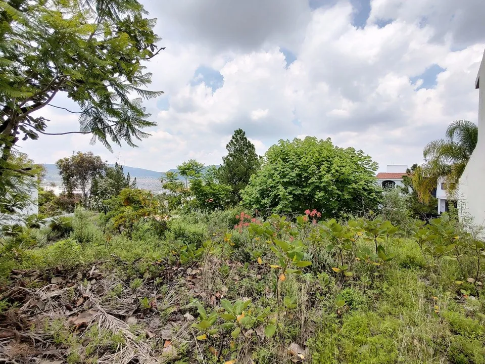 Foto 9 de Terreno en VENTA - Bugambilias 2da Sección - libre de gravamen