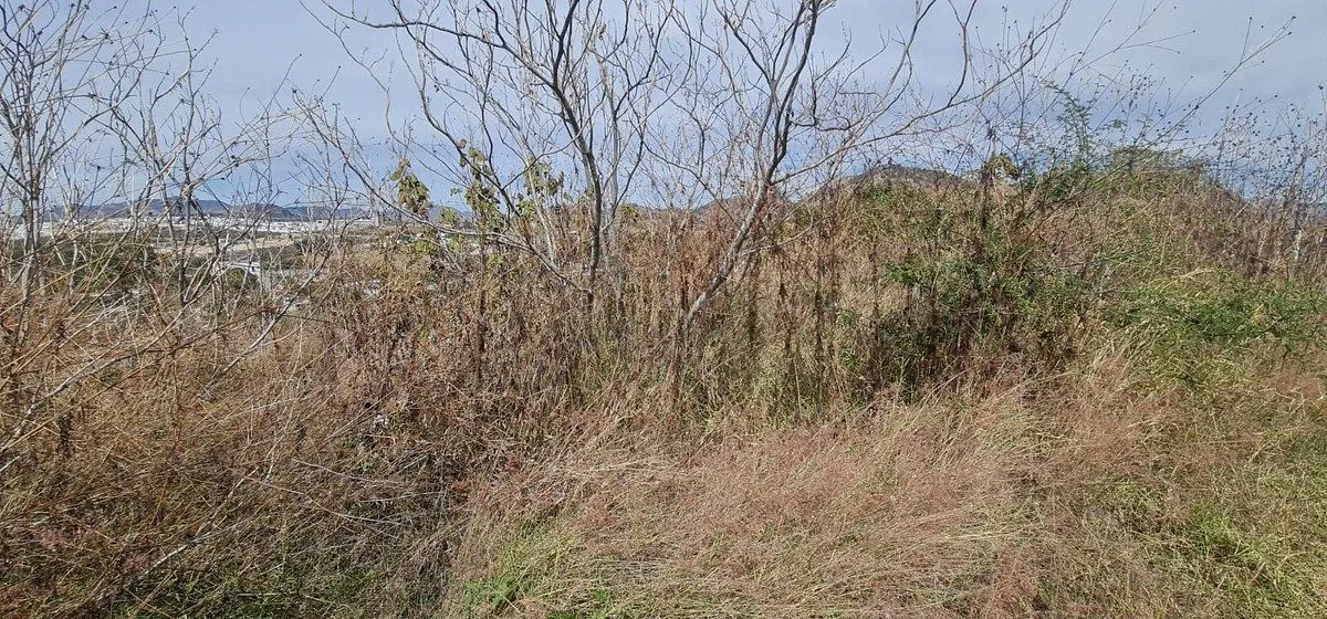 Foto 6 de TERRENO CON BUENA UBICACION EN COL. RIO BLANCO