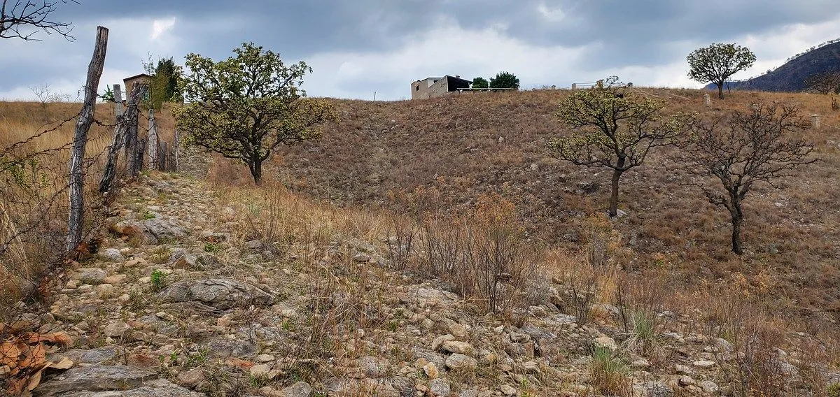 Foto 6 de Terreno (9,554.52 m²) en VENTA en Montichello, Zapoapn